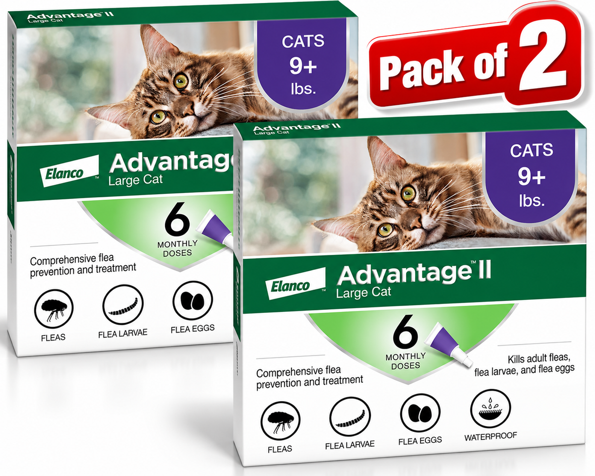 Elanco Advantage II Large Cat Over 9 lbs - 6 Monthly Doses - New in Box! (Pack of Two )